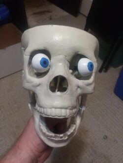 3D printed eyes for an animated skull prop. I brought the eyes and mouth to life using an Arduino.